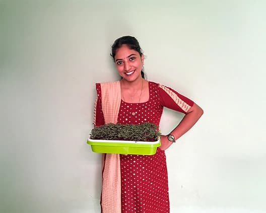 Team at Kree Greens working in a sustainable farming environment